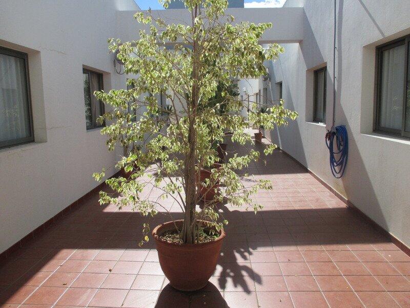 Foto general de Hotel Avenida de Canarias