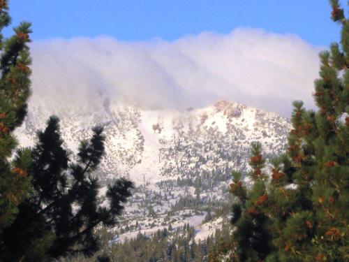 Foto del entorno de Hotel The Mammoth Creek Inn