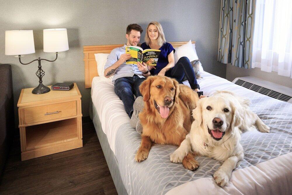 Foto de una habitación de Hotel Accent Inns Kamloops