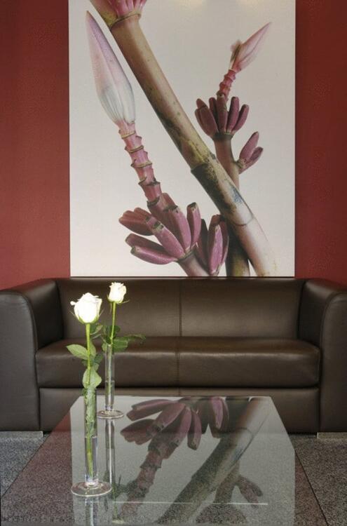 Foto de las zonas nobles de Executive Hotel