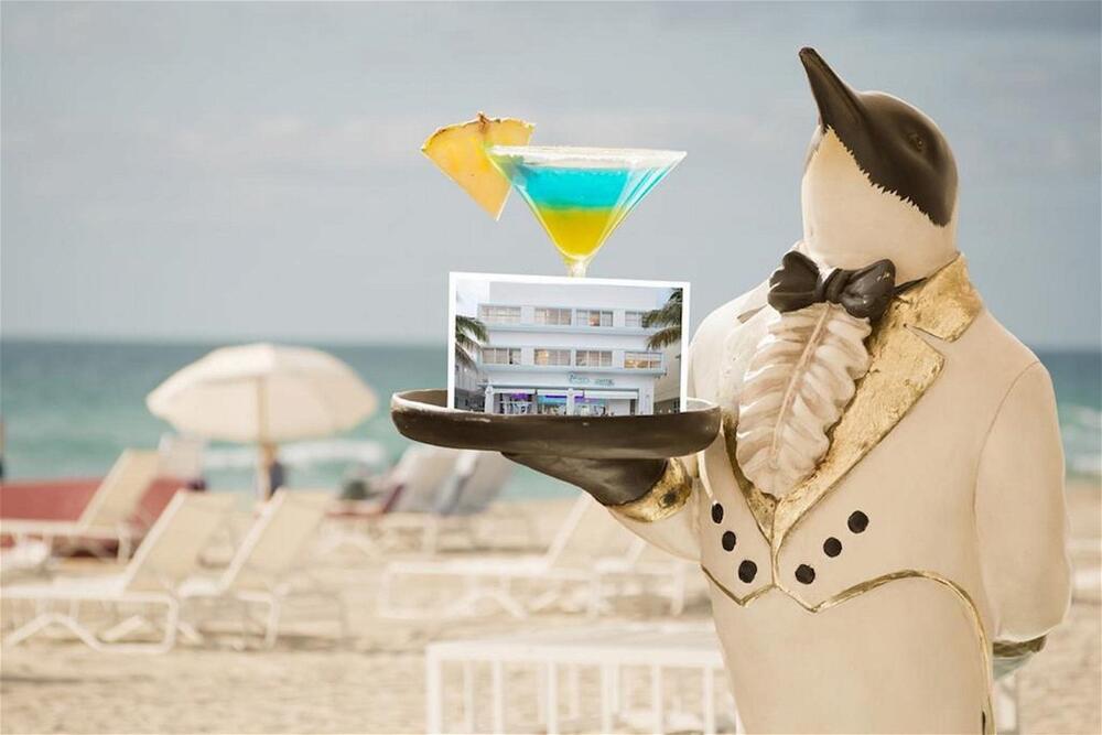Foto general de Penguin Hotel