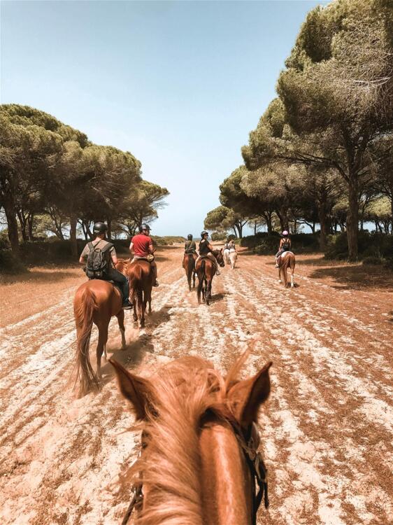 Foto general de Complejo Horse Country Resort Congress &amp;amp; Spa