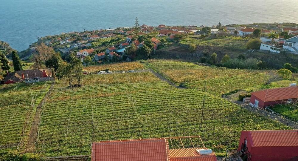 Foto general de Hostal Quinta das Vinhas
