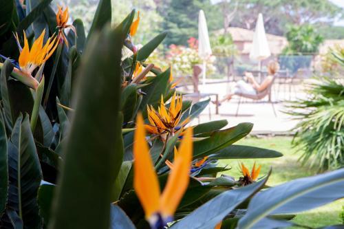 Foto del exterior de Hôtel Les Jardins De Sainte-Maxime
