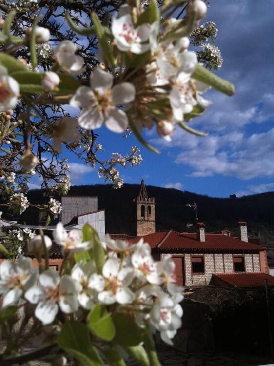 Foto del exterior de Hotel Rural La Casa De Pasarón