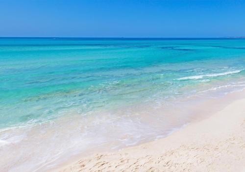Foto del entorno de Apartamentos Marblau Mallorca