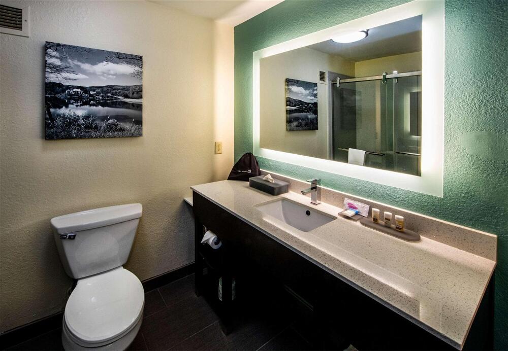 Foto del baño de Hotel Best Western Plus Duluth/ Sugarloaf
