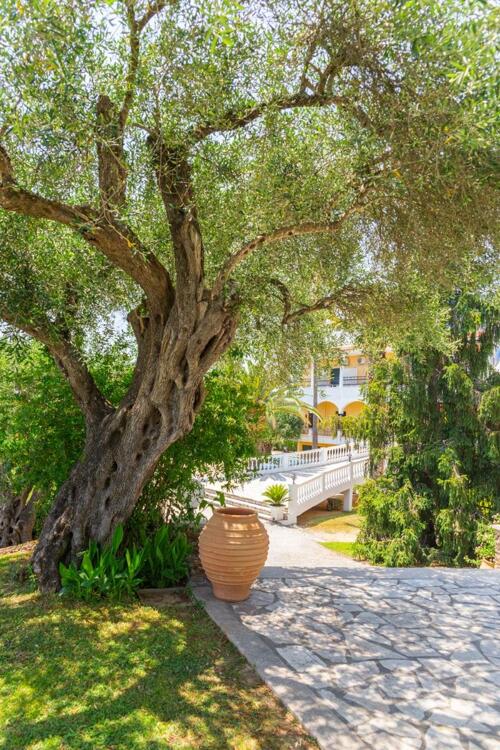 Foto general de Paradise Hotel Corfu