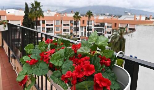 Foto general de Hotel Doña Catalina
