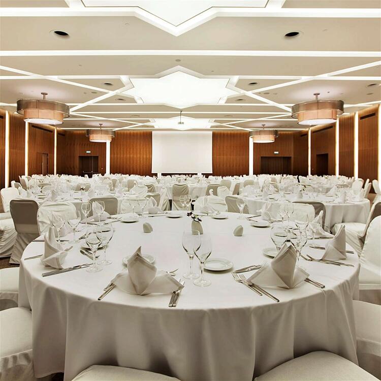 Foto de los servicios de Hotel Hilton Garden Inn Konya
