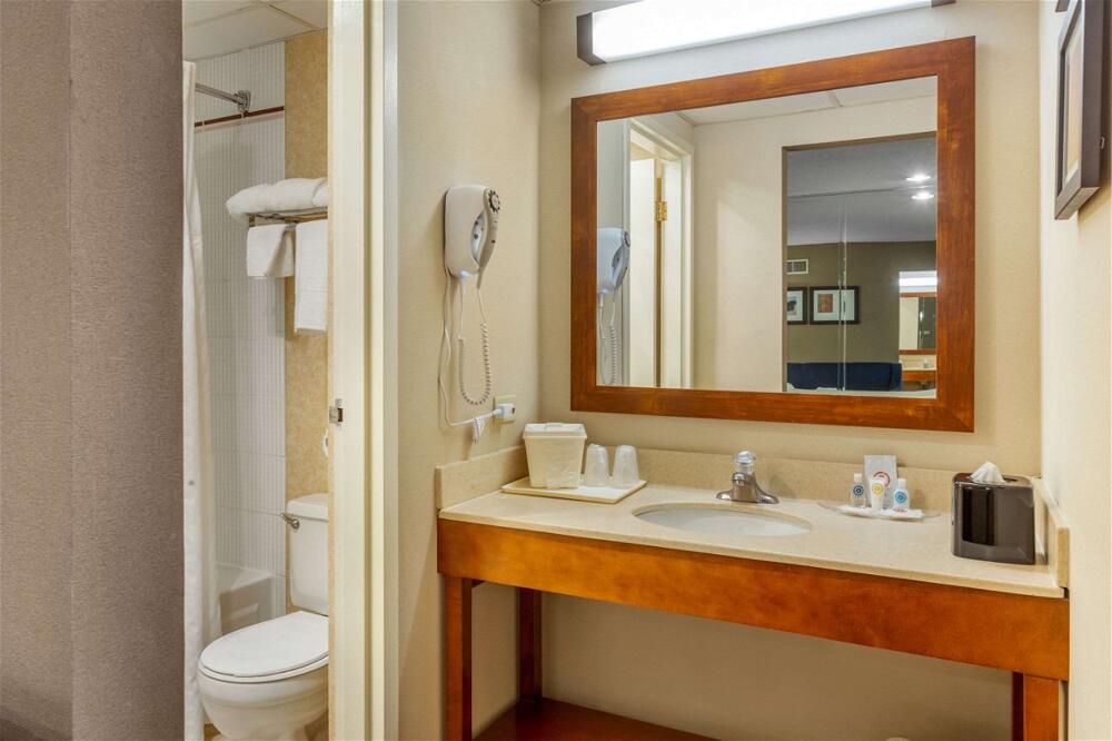 Foto del baño de Hotel Comfort Suites Oakbrook Terrace near Oakbrook Center