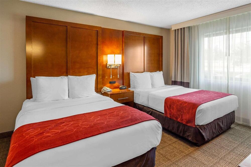 Foto de una habitación de Hotel Comfort Suites Oakbrook Terrace near Oakbrook Center