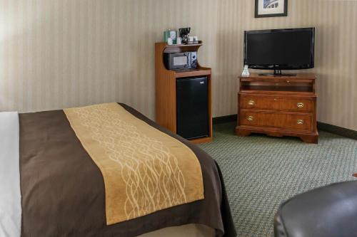 Foto de una habitación de Hotel Comfort Inn Pentagon City