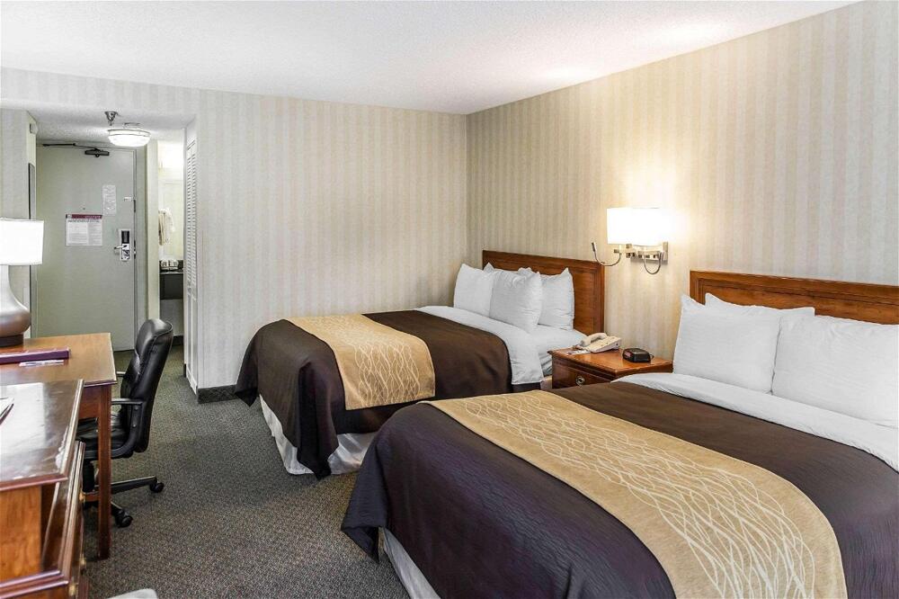 Foto de una habitación de Hotel Comfort Inn Pentagon City