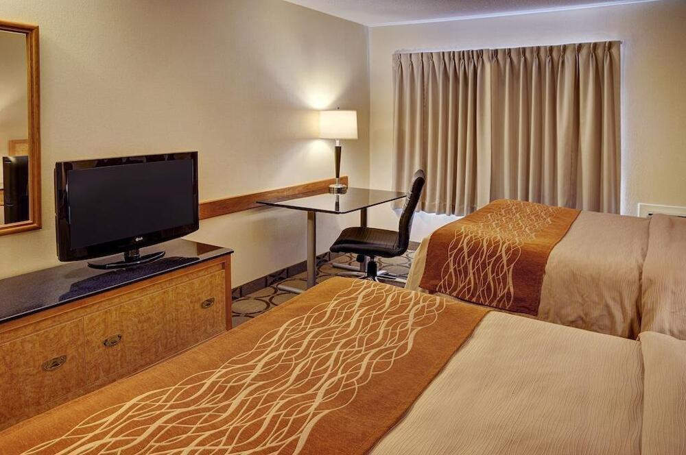 Foto general de Hotel Comfort Inn Brandon
