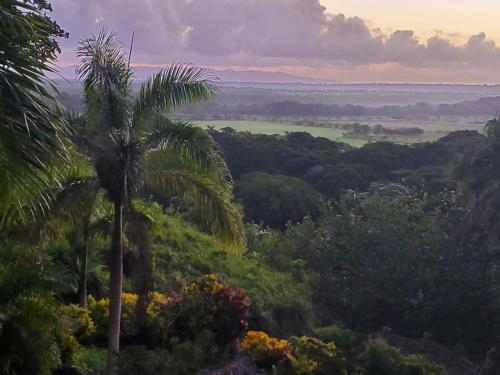 Foto del entorno de Hotel Altos de Caño Hondo