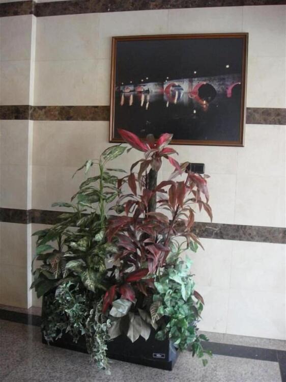 Foto general de Hostal Serpol