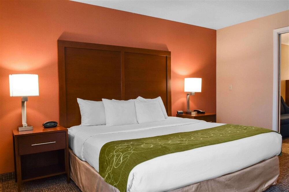 Foto general de Hotel Comfort Suites Downtown Carlisle