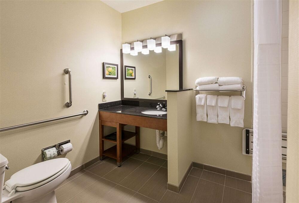 Foto del baño de Hotel Comfort Suites Saginaw