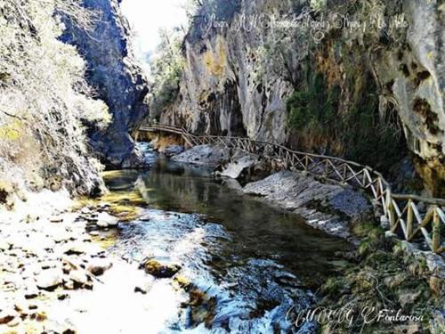 Foto del entorno de Cabañas de Madera El Rinconcillo
