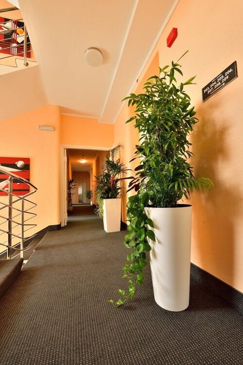 Foto de las zonas nobles de Hotel Orient Zagreb