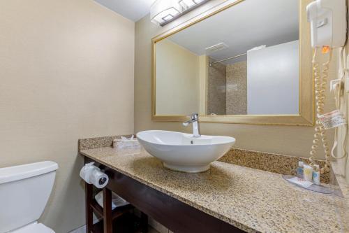 Foto del baño de Hotel Comfort Inn Herndon-Reston