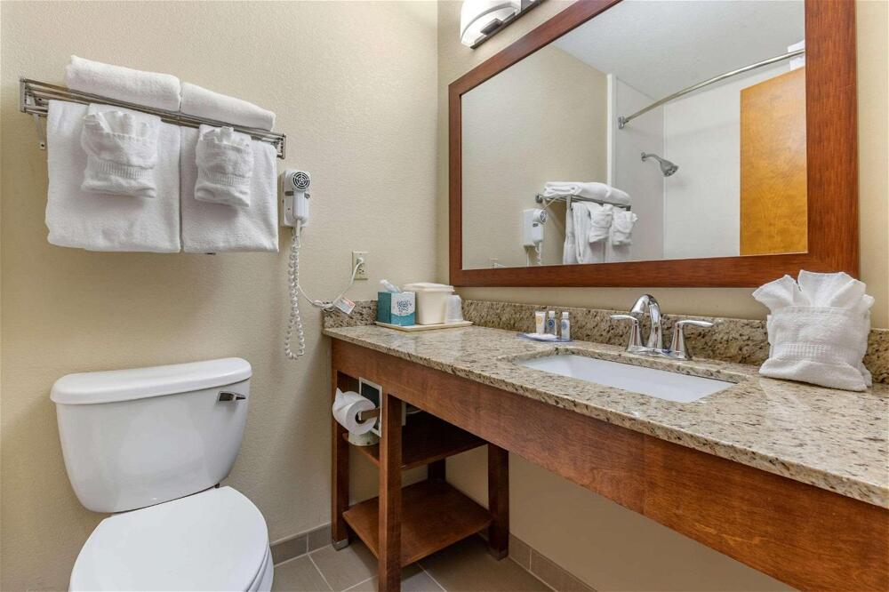 Foto general de Hotel Comfort Inn &amp;amp; Suites Clemson - University Area