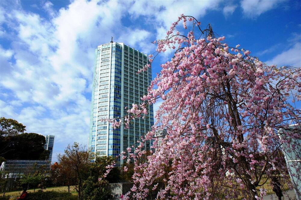 Foto general de Hotel The Prince Park Tower Tokyo