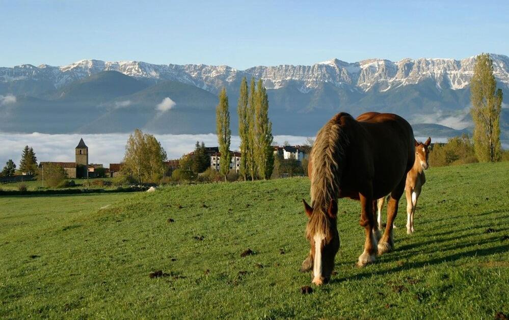 Foto del entorno de Hotel Mirador