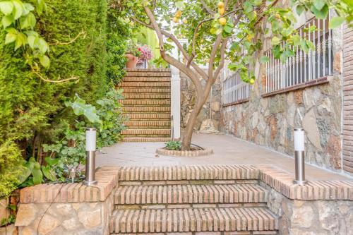 Foto del entorno de Casa Rural Senderos de la Alhambra