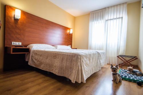 Foto de una habitación de Pension Viella Asturias