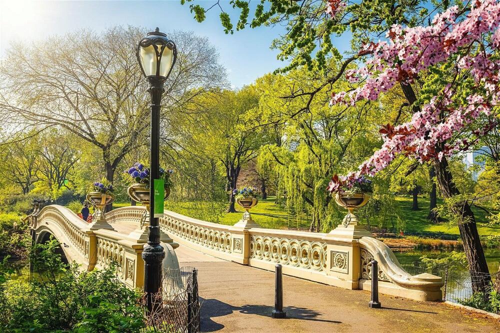 Foto general de Hotel The Ritz-Carlton New York, Central Park