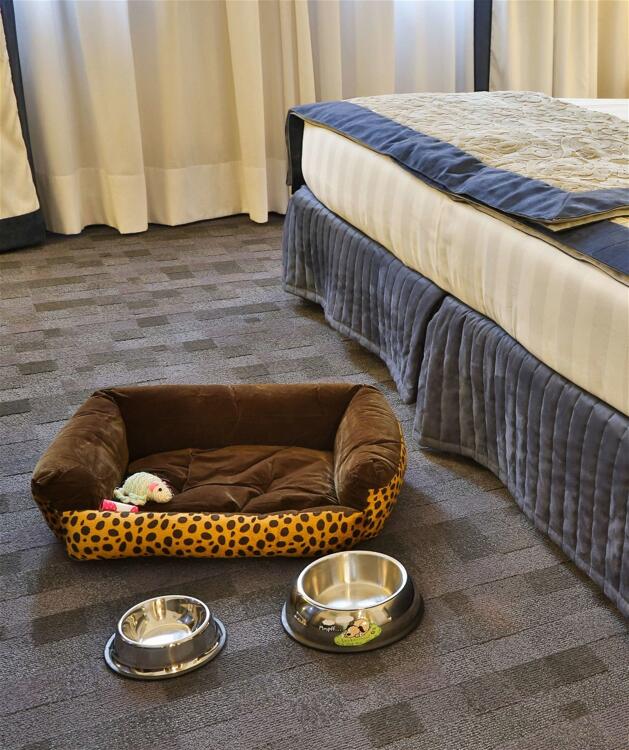 Foto de una habitación de Best Western Plus BorgoLecco Hotel