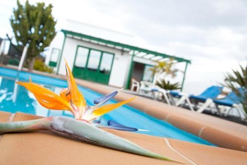 Foto de los servicios de Villas Costa Papagayo