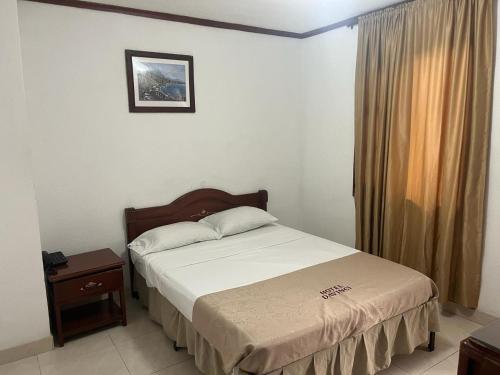 Foto general de Hotel del Parque Davinchi