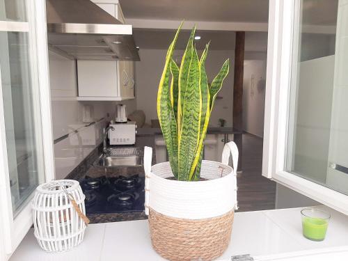 Foto de una habitación de Casa Los Titos