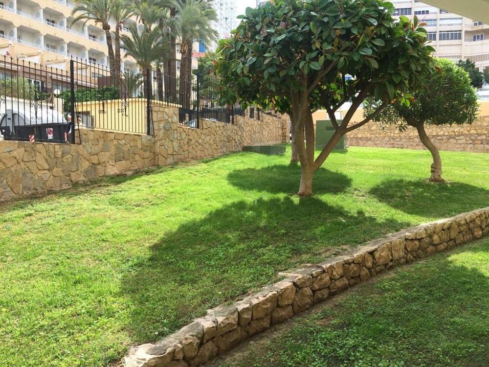 Foto del entorno de Apartamentos Las Carabelas
