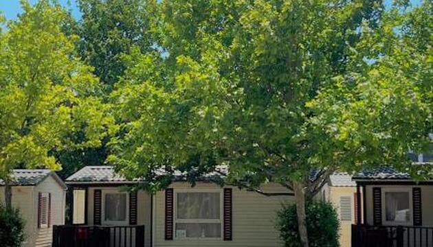 Foto de Bungalows Zaragoza Camping