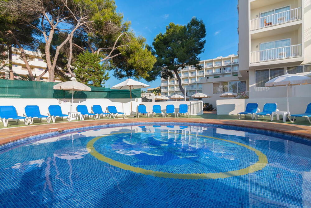 Foto de los servicios de Hotel Moon Dreams Coral Beach