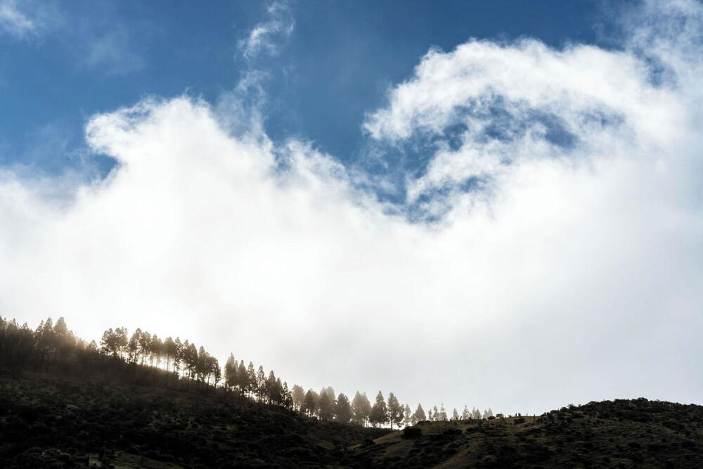 Foto del entorno de Parador de Cruz de Tejeda