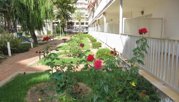 Foto de Apartamentos Hesperia Palmyra