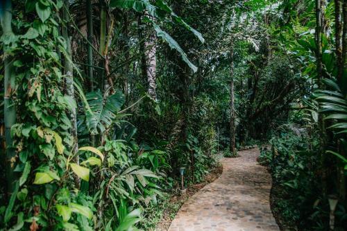 Arahuana Complejo Arahuana Jungle Resort & Spa, Tena - Central de Reservas