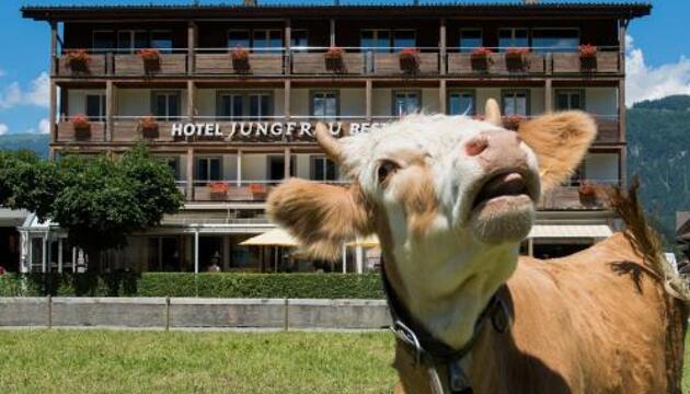 Foto de Jungfrau Hotel