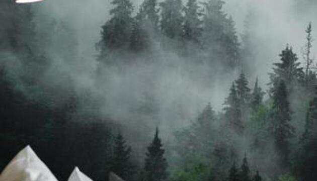 Foto de Hotel Nickisch