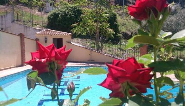 Foto de Alquileres Vacacionales Alojamiento Nohal