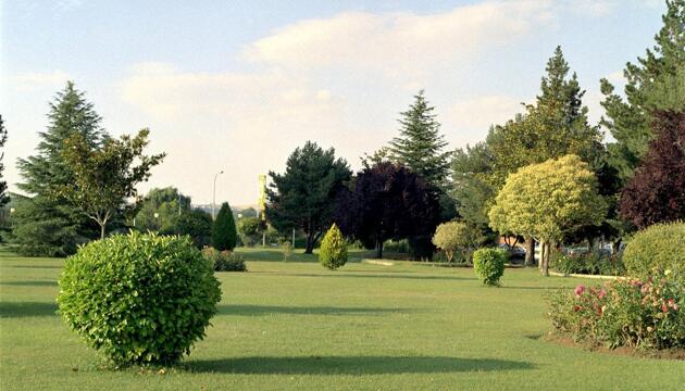 Foto de Bungalows y Mobil Homes Camping Regio