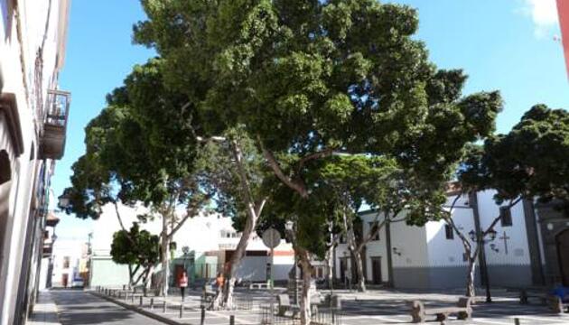 Foto de La Casa de Vegueta