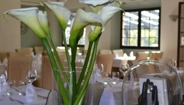 Photo – Hotel All Suites Resort &amp; Spa
