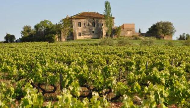 Foto de Hotel Mas Castell de Gimenelles