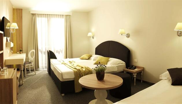 Foto de Hotel Mirna - Terme &amp; Wellness Lifeclass